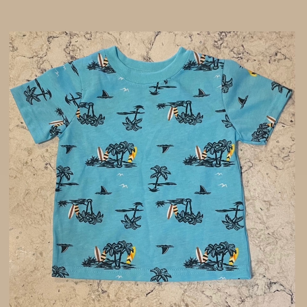 Boys shirt size: 12 months
